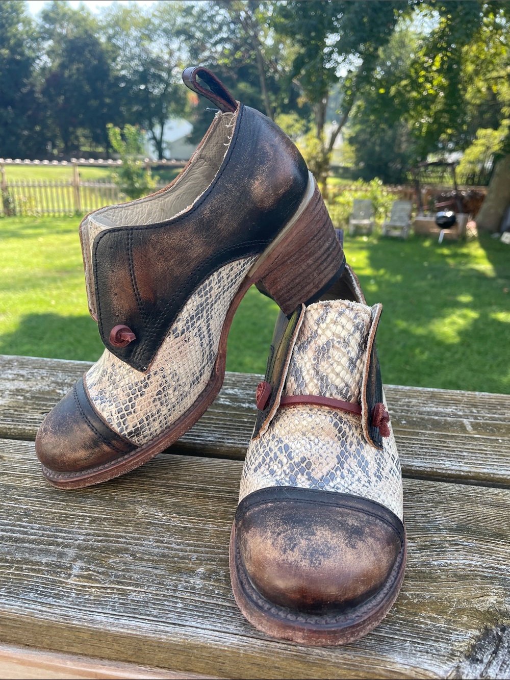 Freebird by Steven Sz 8 Catalina Brown & Cream Snake-Print Leather Heeled Oxford - Picture 6 of 15